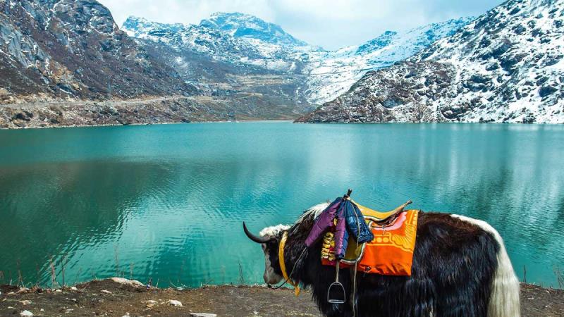Sikkim Tour 04N 05D