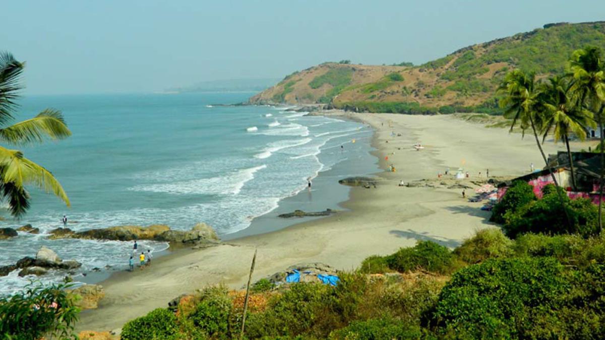 Sunburn Goa